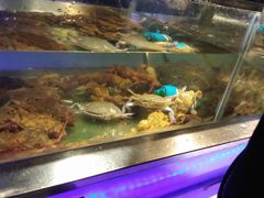 水产区-V-ONE西雅图海鲜自助餐厅(仓山万达广场店)