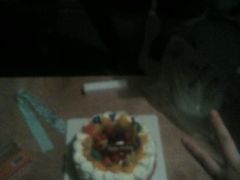 android_upload_pic-林记开心动物奶油生日蛋糕(江南春晓店)