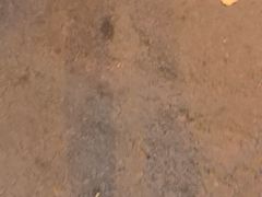 -三盛轩回民饺子馆