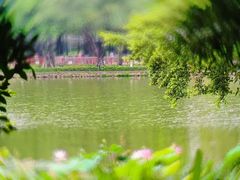 -荔湾湖公园