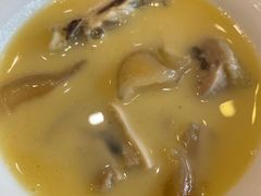 浓汤花胶鸡-茶叁酒肆·楚味江湖(菱角湖店)
