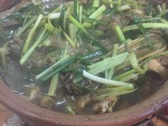 -霞姐屯昌枫木香草鸭店(海螺店)