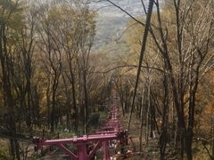 -帽儿山风景区