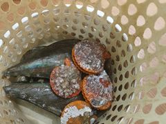 -小海豚•老字号海鲜餐厅(天涯店)