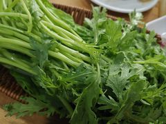 茼蒿-元盛居(生态大街店)