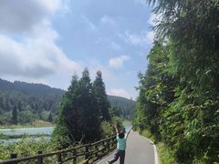 -武陵山森林公园