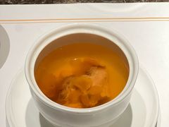 -觀芷隐轩