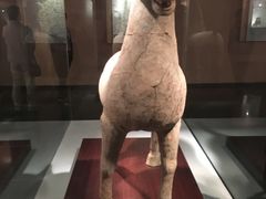 -四川宋瓷博物馆