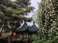 -郑和公园
