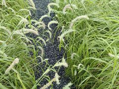 -汉长安城未央宫国家考古遗址公园