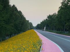 -南京眼步行桥
