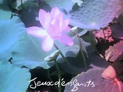 -天津东丽湖风景区