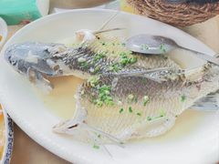 -新合益乡村农庄