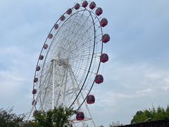 -武汉园博园(武汉自然博物馆)