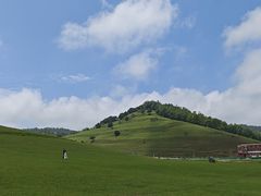 -关山草原