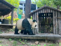 -大连森林动物园