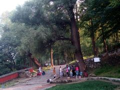 -阳台山自然风景区