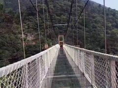 -牛鱼嘴原始生态风景区