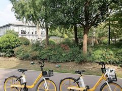 -上海山野camping·户外天幕烧烤·团建拓展营地