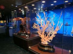 -绮丽珊瑚(台北101旗舰门市店)