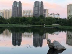 -群力丁香公园