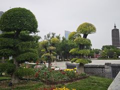 -西海子公园