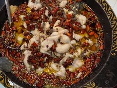 -金三可市井水煮鱼(金碧园店)