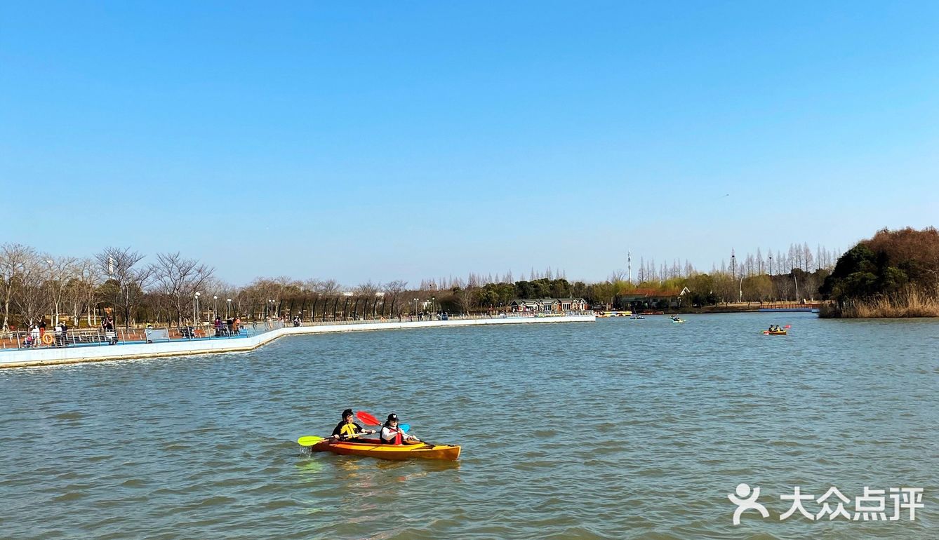 上海旅行|探索不一樣的顧村公園