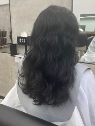 -蚂蚁造型俱乐部
