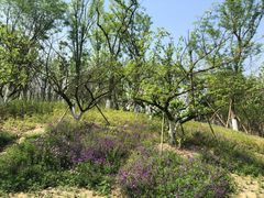 -白鹭湾湿地公园