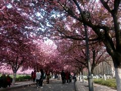 -西北农林科技大学(北校区)