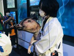 -侏罗纪世界电影特展(广州站)