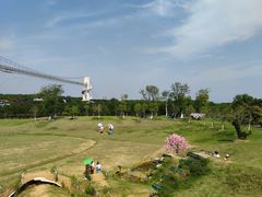 -武汉紫薇都市田园