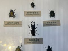 -中国湿地博物馆