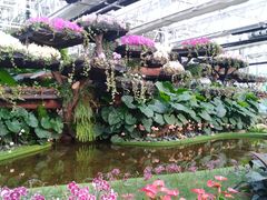 -兰陵国家农业公园