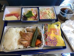 -全日本空输株式会社(上海办事处)
