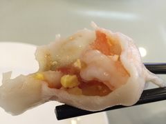 -陶然饺子城(奥体中路店)