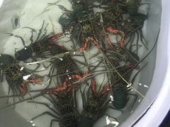 -拉威海鲜市场