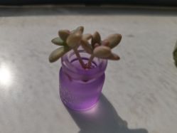 -尚艺造型.剪烫染.接发