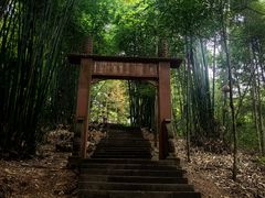 -凤栖山