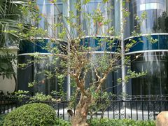 -科尔海悦酒店·柏顿花园餐厅(清河东路店)