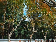 -溧阳路经典老洋房