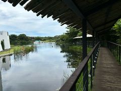 -济州森林小火车生态公园