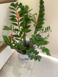 -Dr.林醫生产后修复·超级店(南京江宁同曦店)
