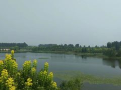-东郊湿地公园