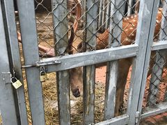 -意大利农场度假村