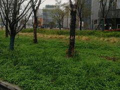 -新天地活力PARK