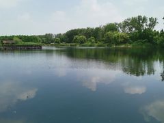 -溱湖国家湿地公园