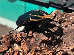 -成都银泰中心in99