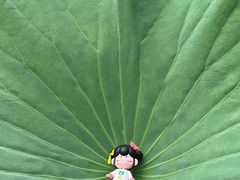 -颐和园